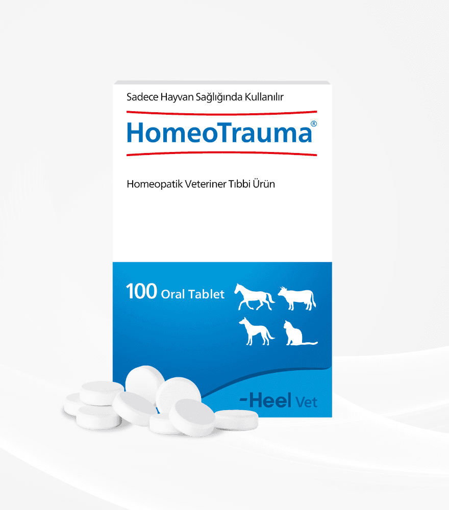 HomeoTrauma Oral Tablet ürün görseli