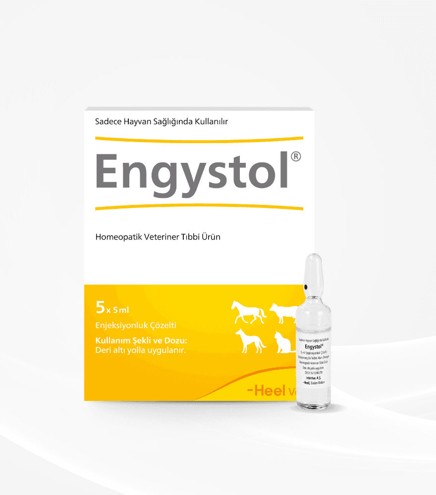 Engystol ürün görseli