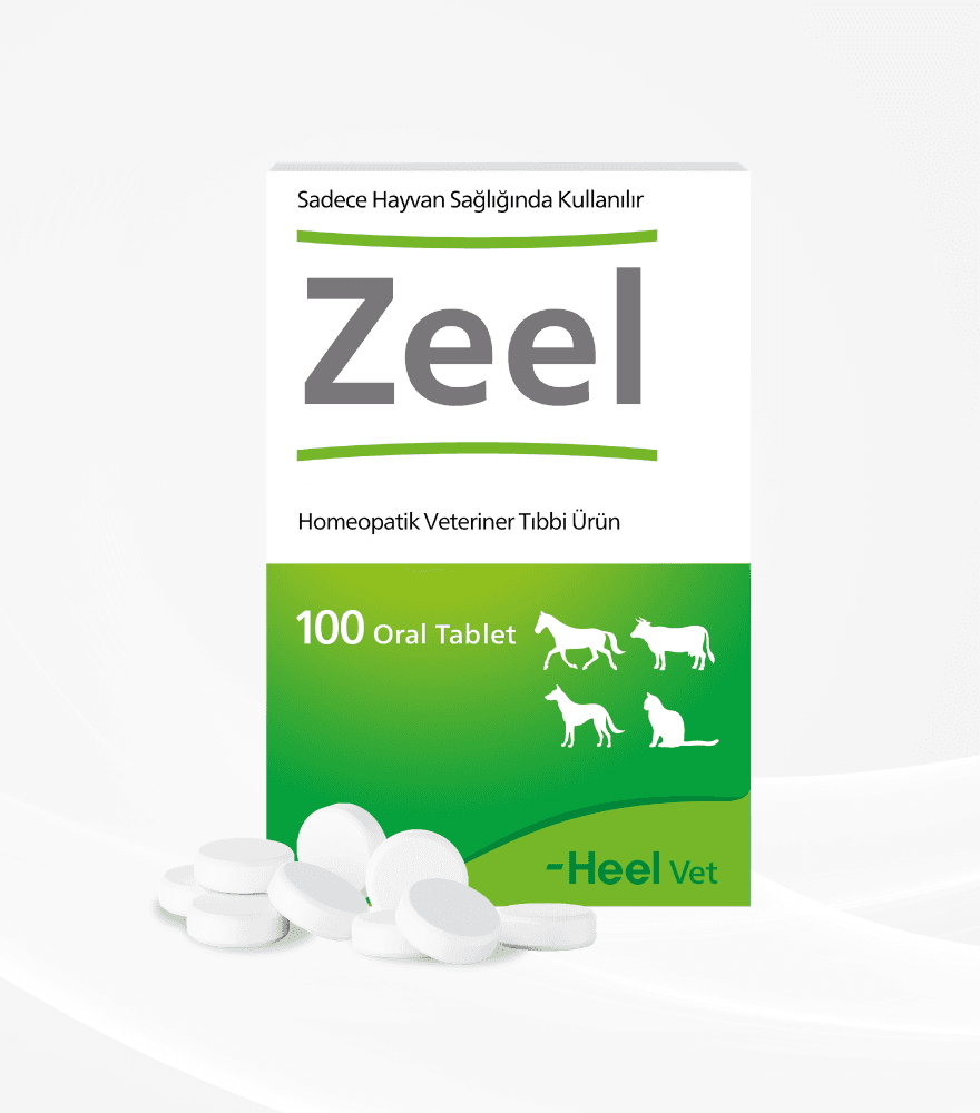 Zeel Oral Tablet ürün görseli